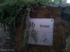 B for brave (800x600)