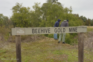 Beehive Gold Mine (800x533)