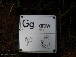 G for grow (800x600)