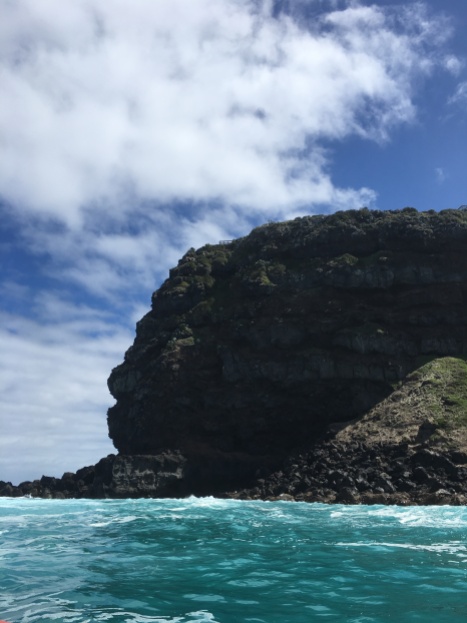 The highest sea cliffs in Vic