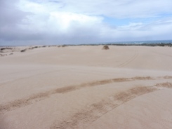 Dunes for miles