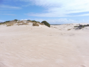 Dunes everywhere